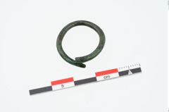Foto von Bronzering (NHMW-PRAE-025238)
